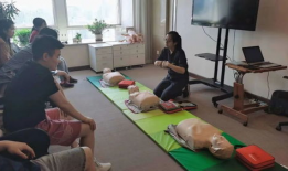 心肺复苏视频教学视频,视频教学核心步骤解析