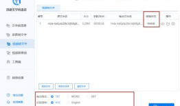 视频转换文字,文字版深度解析