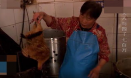 干老太视频,揭秘老年生活新风尚